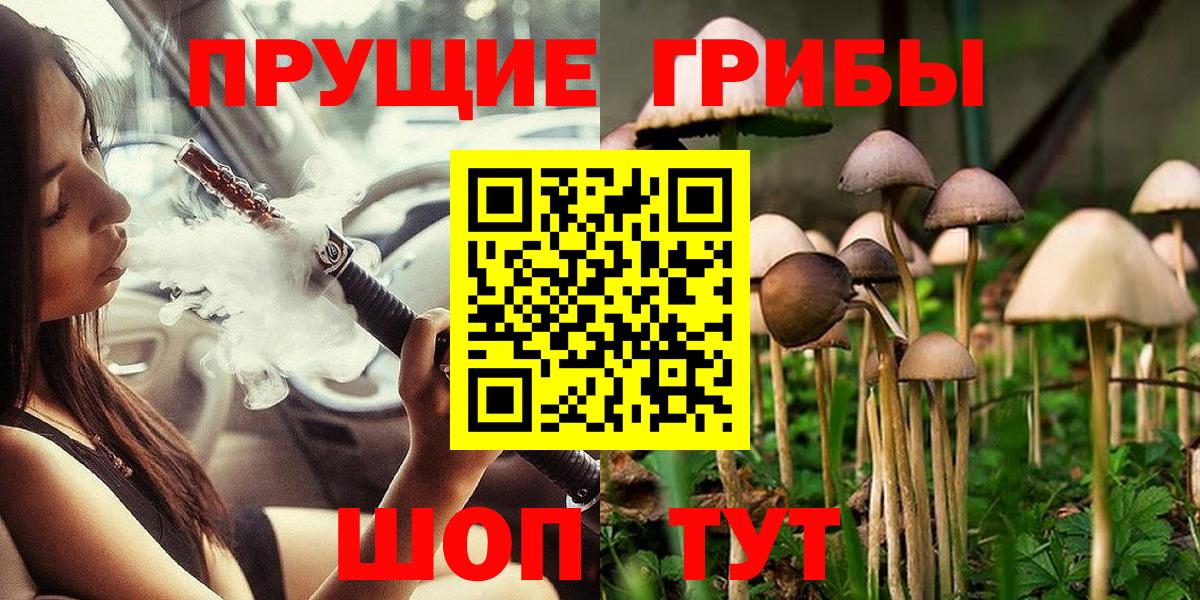 Галлюциногенные грибы Psilocybine cubensis Трёхгорный
