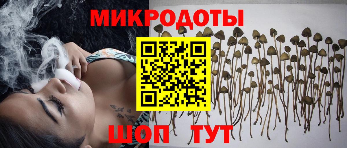 Трёхгорный  Псилоцибиновые грибы прущие грибы  Вход с VPN 